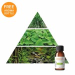 Difusor INN AROMA Powered by iS - iServices®