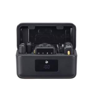 Mini Lavalier Microfoon - iServices Online Winkel
