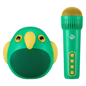 Kids Karaoke Set - iServices Online Store
