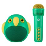 Kids Karaoke Set - iServices Online Store