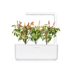 Zadencapsules Click and Grow - iServices®