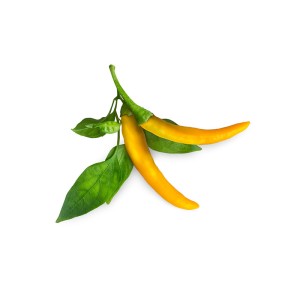 Zadencapsules Click and Grow - iServices®