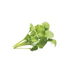 Agriões de Jardim Click and Grow