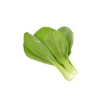Zadencapsules Click and Grow - iServices®