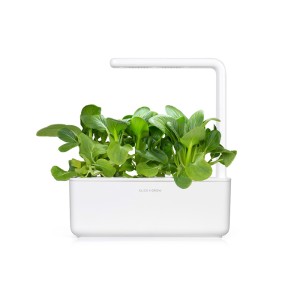 Zadencapsules Click and Grow - iServices®