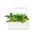 Zadencapsules Click and Grow - iServices®