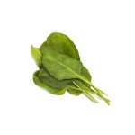 Zadencapsules Click and Grow - iServices®