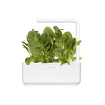 Zadencapsules Click and Grow - iServices®
